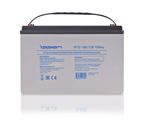 Ippon IP12-100 12В 100Ач (223956) Батарея для ИБП 1361425