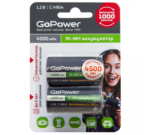 GoPower HR14 00-00018322 Аккумулятор бытовой