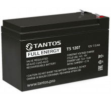 Tantos TS 1207 00-00112387 Аккумуляторная батарея