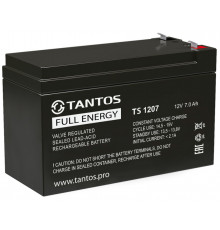Tantos TS 1207 00-00112387 Аккумуляторная батарея