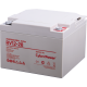 CyberPower Professional Series RV 12-28 Аккумулятор