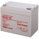 CyberPower Professional PS RV 12-33 Аккумуляторная батарея