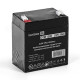 Exegate DTM 1205/EXS1250 ES255175RUS Аккумуляторная батарея
