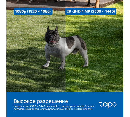TP-Link TAPO C425 Умная камера с питанием