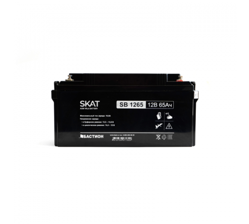 Bastion SKAT SB 1265 Аккумулятор свинцово-кислотный