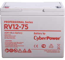 CyberPower Professional Series RV 12-75 Аккумулятор
