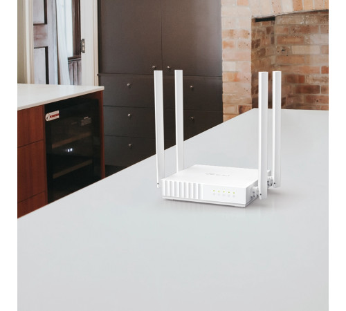 TP-Link Archer C24