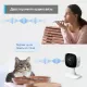 TP-Link Tapo C100