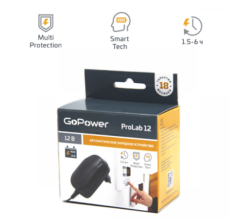 GoPower ProLab 12 00-00015355